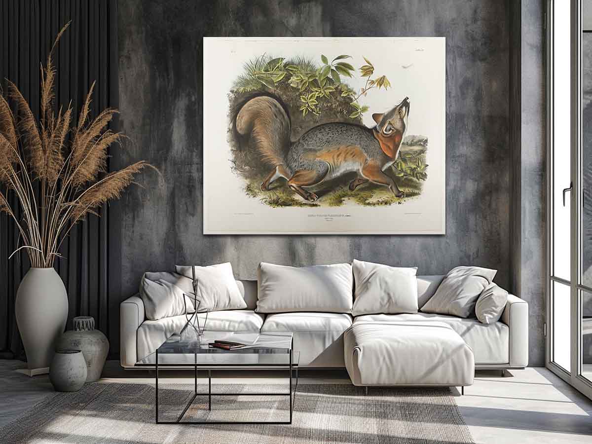 Grey Fox