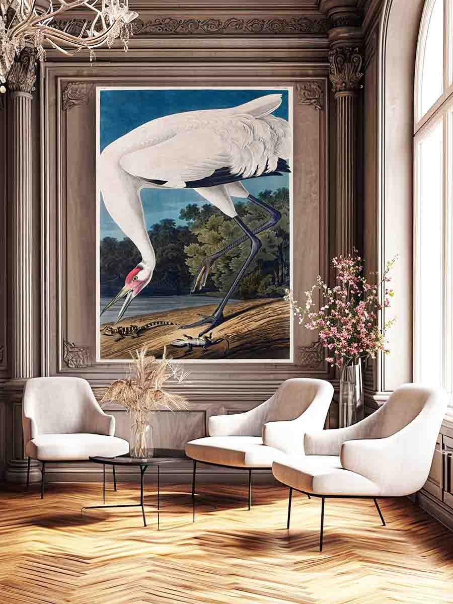 Whooping Crane, from 'Birds of America'