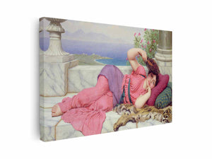 Noonday Rest