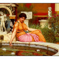A Lily Pond