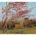 Landscape Of A Blossoming Red Almond