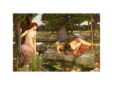 Echo and Narcissus 1903 artwork preview