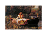 The Lady of Shalott artwork preview