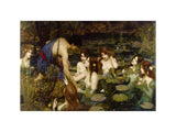 Hylas and the Nymphs 1896 artwork preview