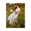 Windflowers 1903