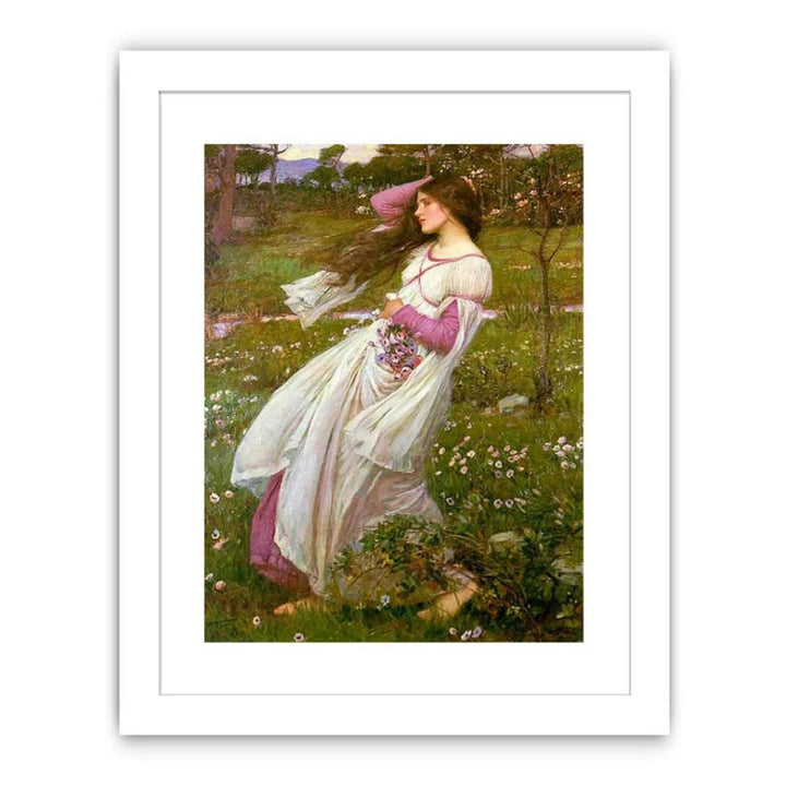 Windflowers 1903