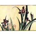 Irises 2