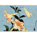 Lilies