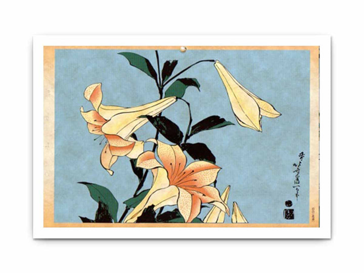 Lilies