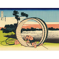 Fujimi Fuji view field in the Owari province