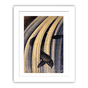 Carp leaping up a cascade