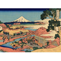 The Tea plantation of Katakura in the Suruga province