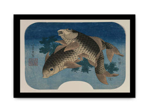 Two carps