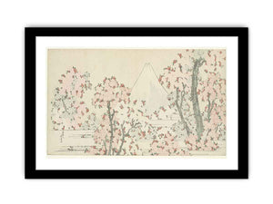 Mount Fuji with Cherry Trees in Bloom