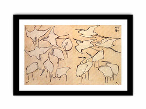 Cranes from Quick Lessons in Simplified Drawing