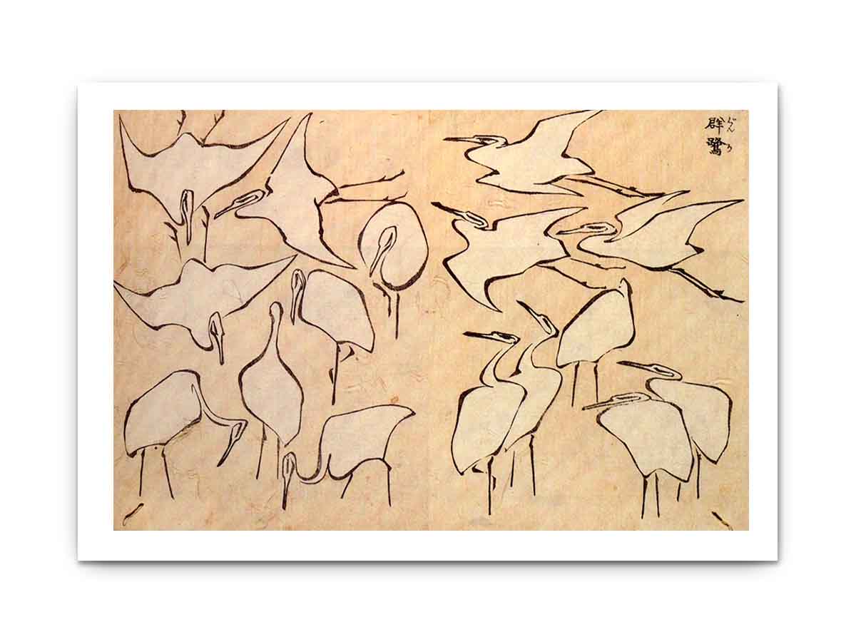 Cranes from Quick Lessons in Simplified Drawing