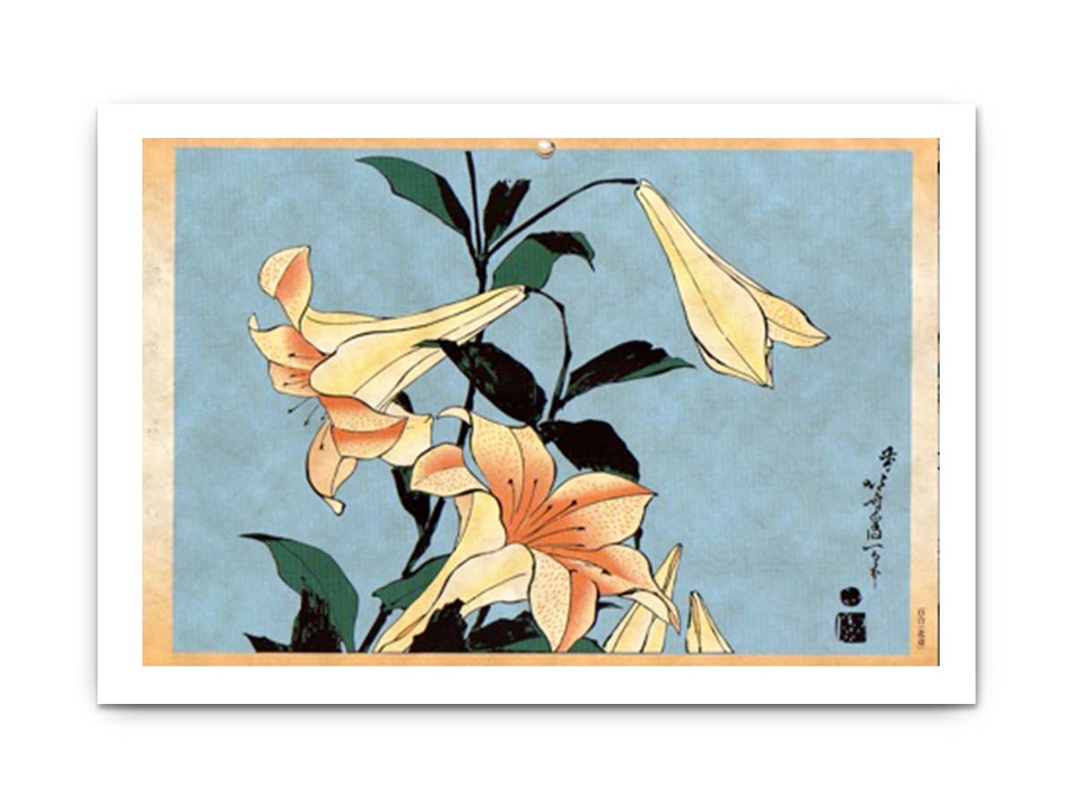 Lilly
