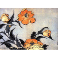 Poppies