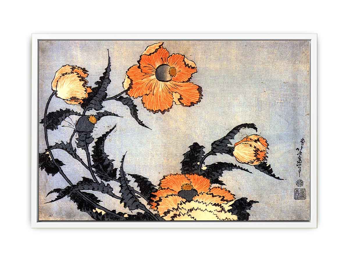 Poppies