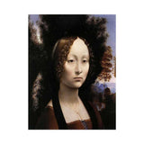 Portrait of Ginevra de Benci artwork preview