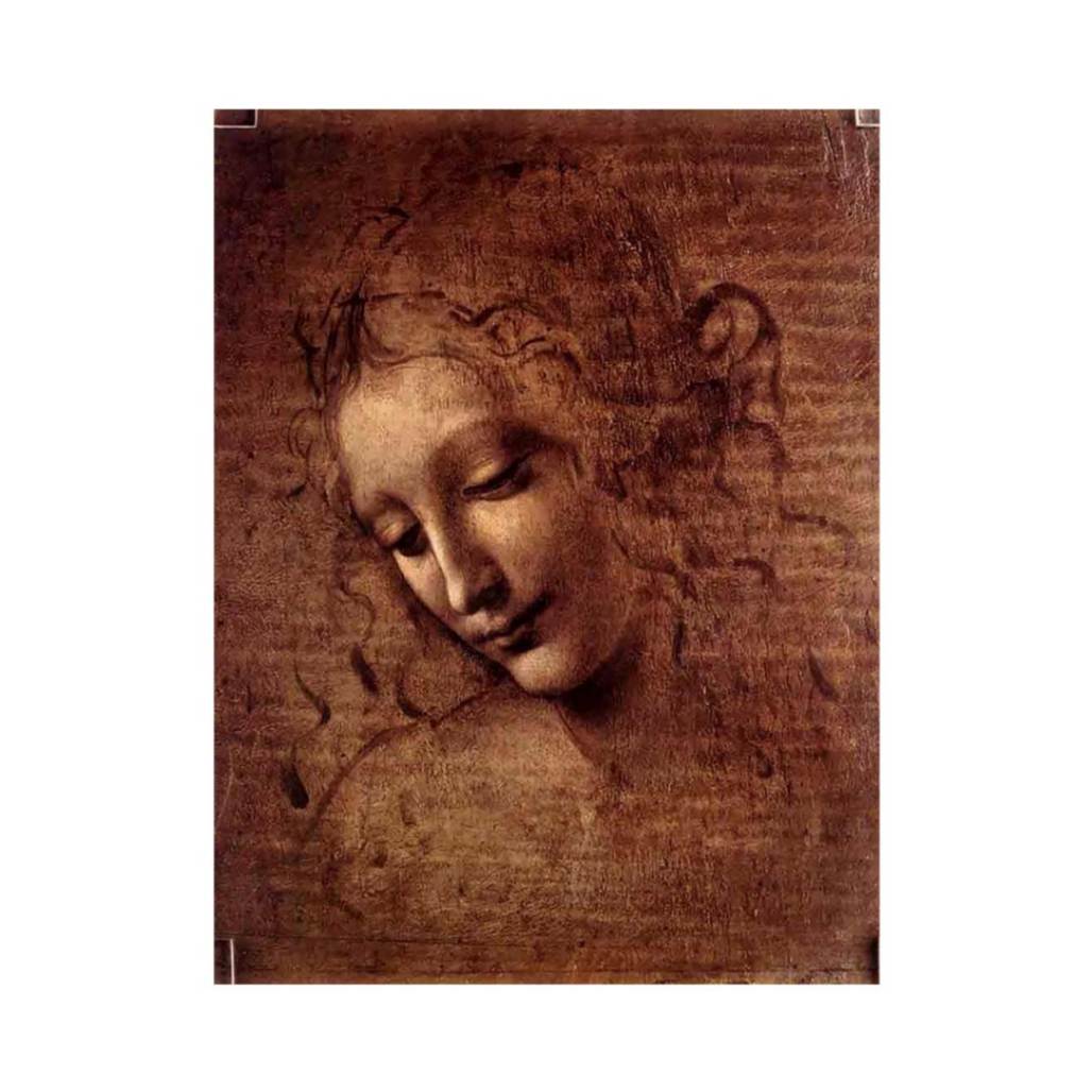 Female head (The Lady of the Dishevelled Hair) (or La Scapigliata)