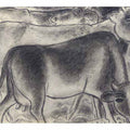 Cows chalk drawing