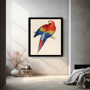 red and yellow macaw