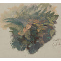A Study of Ferns