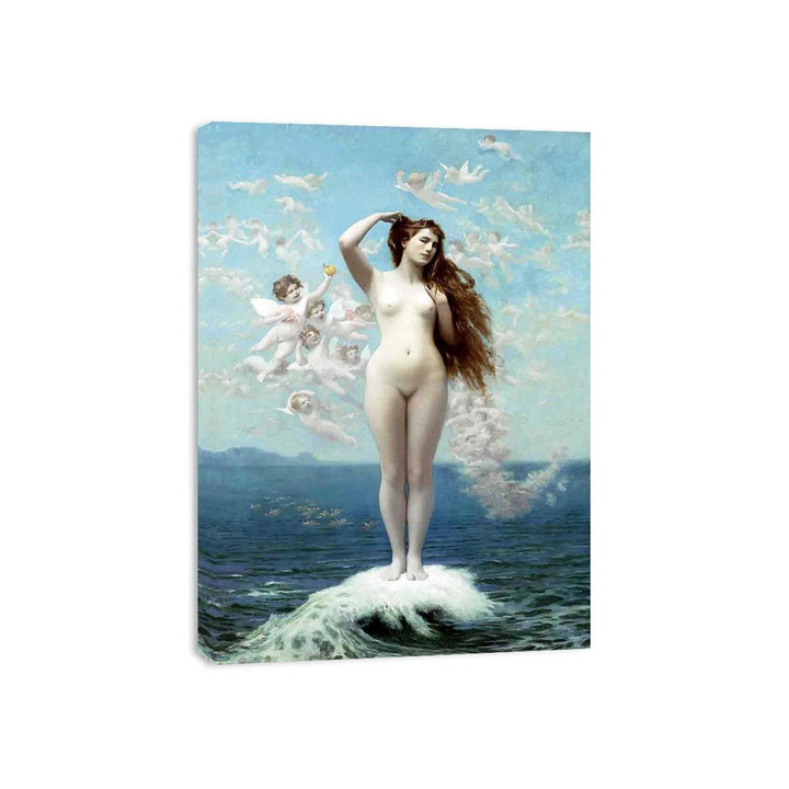 Venus Rising