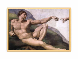 Creation of Adam (detail) By Michelangelo Buonarroti