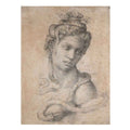 Cleopatra 1533-34