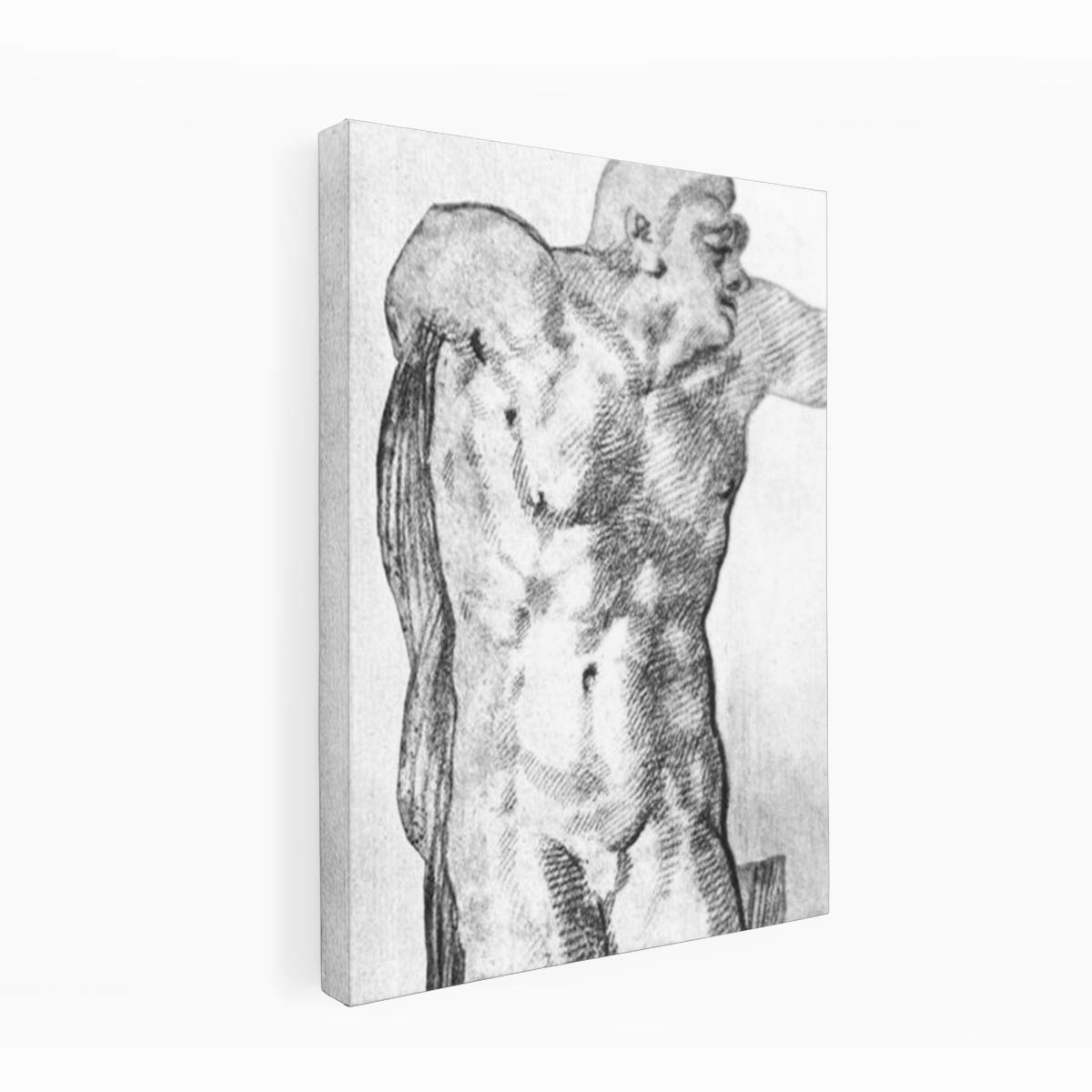 Study of a Nude Man By Michelangelo Buonarroti