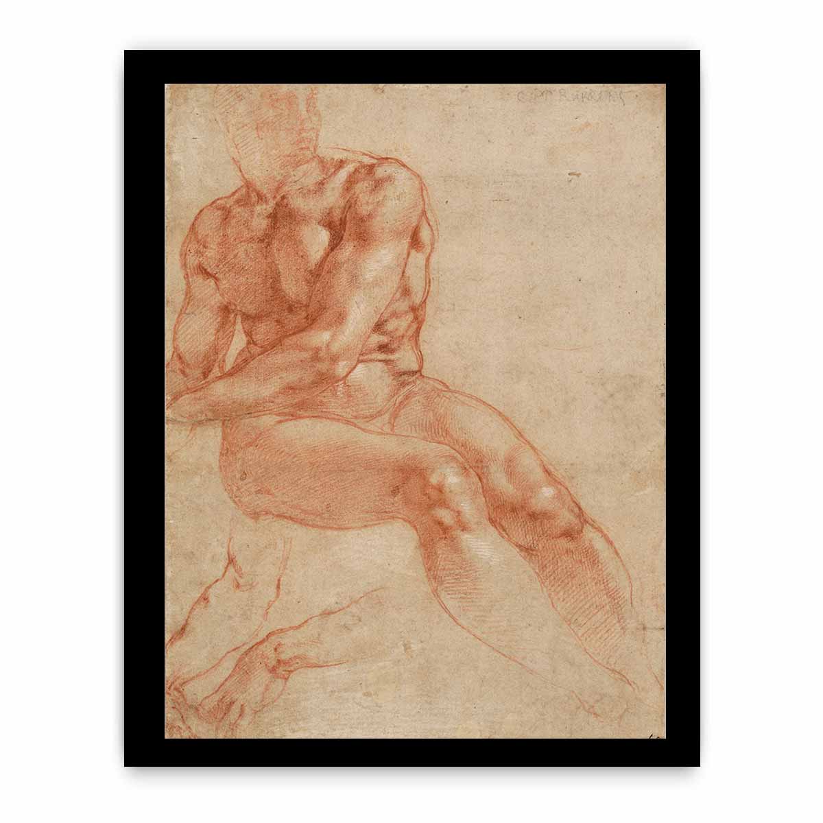 Male Nude Study By Michelangelo Buonarroti