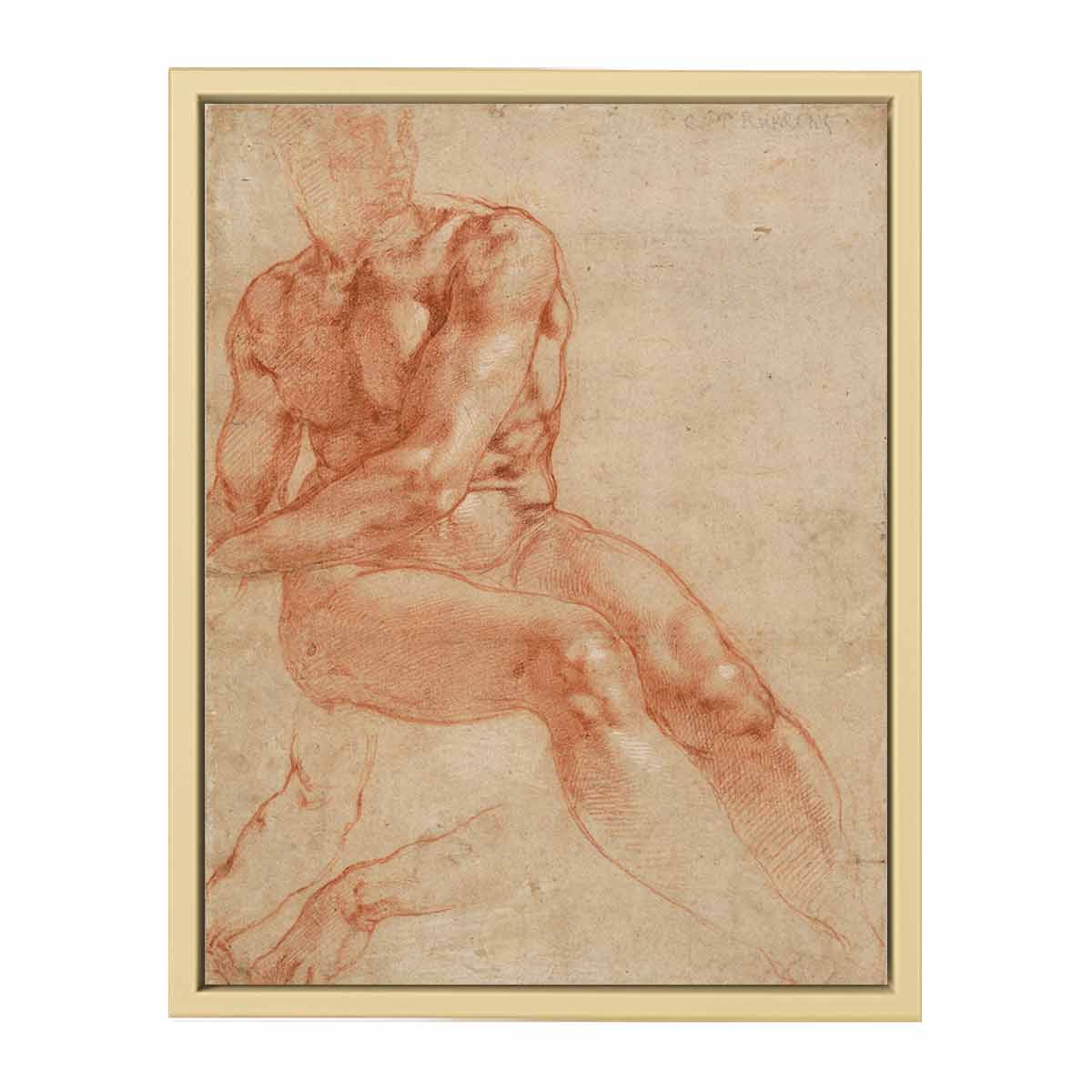 Male Nude Study By Michelangelo Buonarroti
