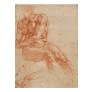 Male Nude Study By Michelangelo Buonarroti