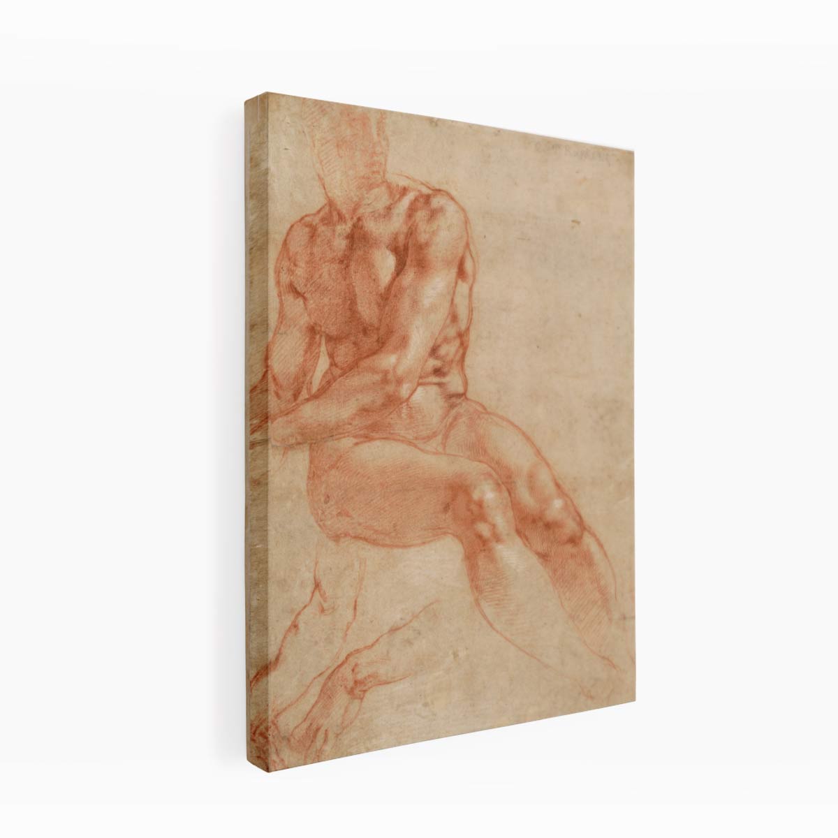 Male Nude Study By Michelangelo Buonarroti