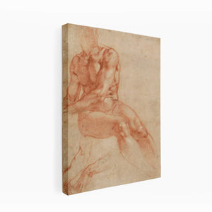 Male Nude Study By Michelangelo Buonarroti