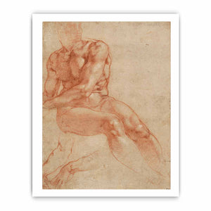 Male Nude Study By Michelangelo Buonarroti