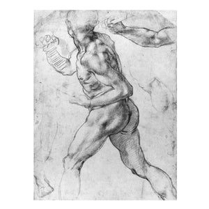 Male Nude Black & White By Michelangelo Buonarroti