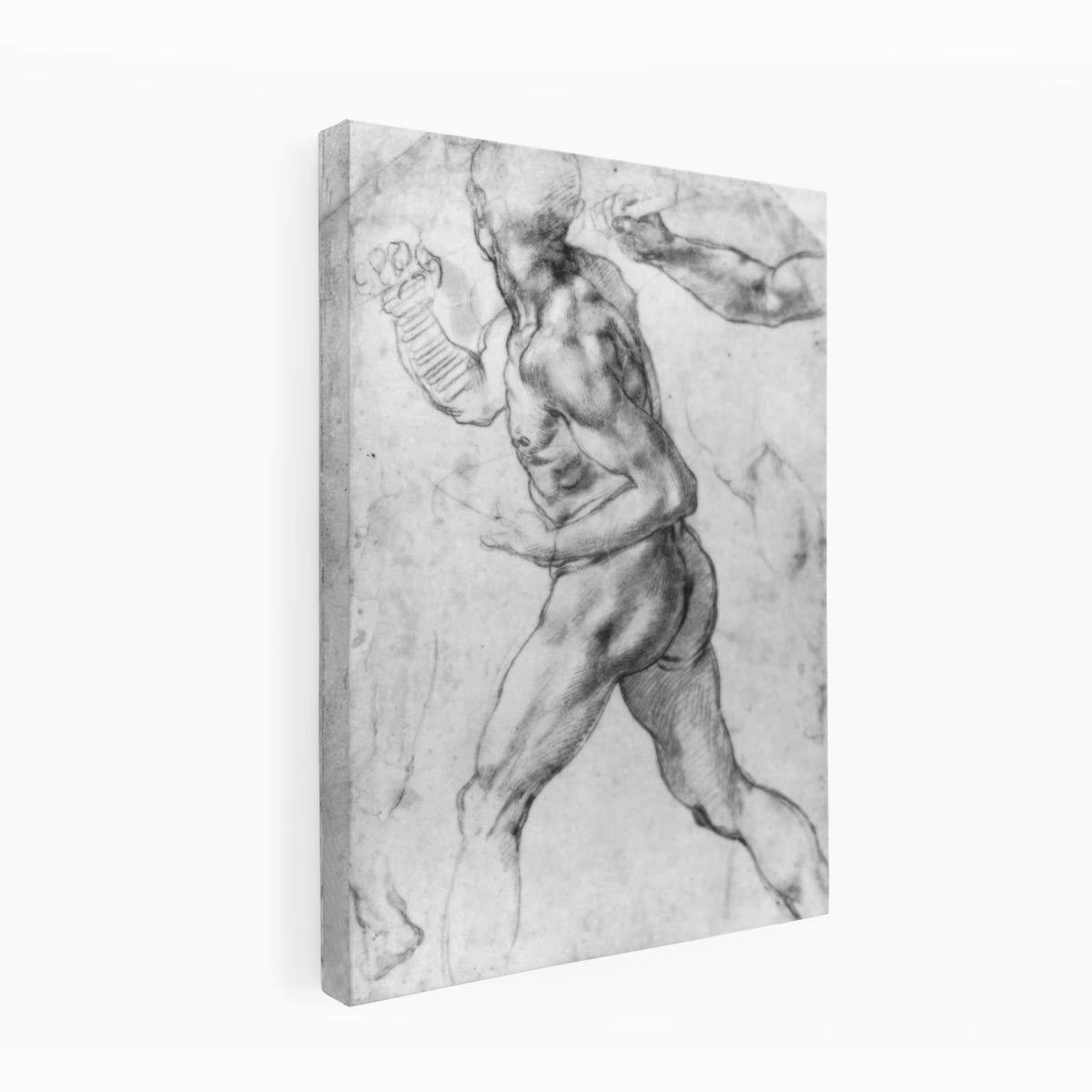 Male Nude Black & White By Michelangelo Buonarroti