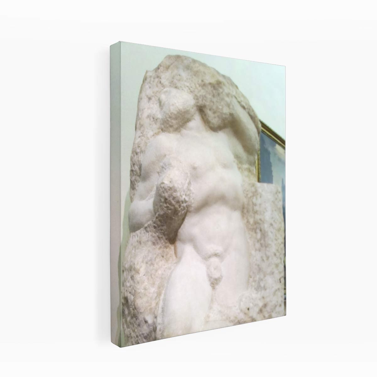Slave (awakening) By Michelangelo Buonarroti
