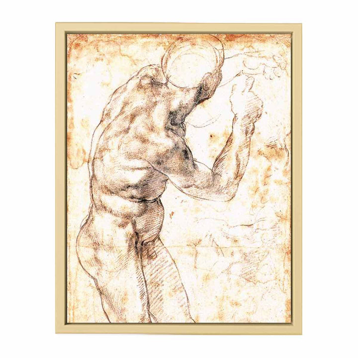 Male Nude 1504-06