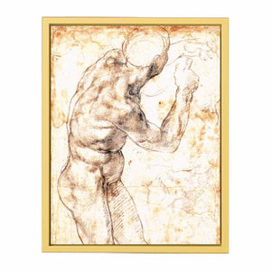 Male Nude 1504-06