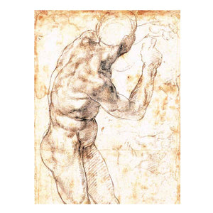 Male Nude By Michelangelo Buonarroti