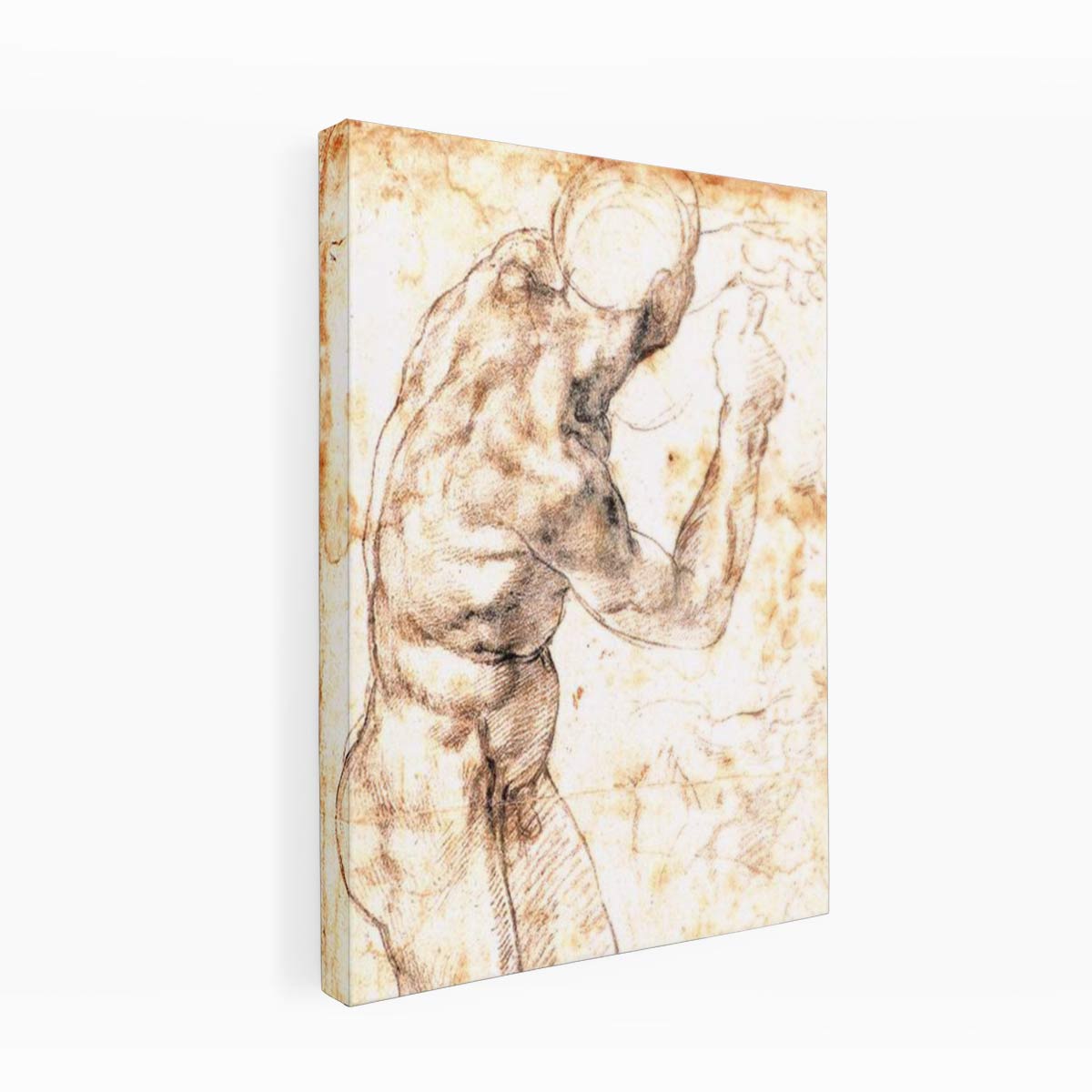 Male Nude 1504-06