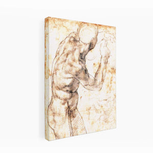Male Nude By Michelangelo Buonarroti