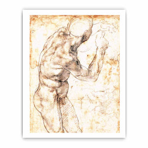 Male Nude By Michelangelo Buonarroti