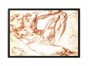 Study for Adam By Michelangelo Buonarroti