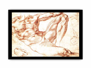 Study for Adam By Michelangelo Buonarroti