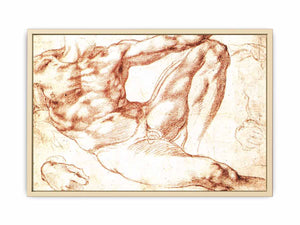 Study for Adam c. 1510